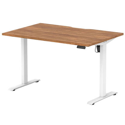 Air Lite Height Adjustable Desk With Scalloped Edge